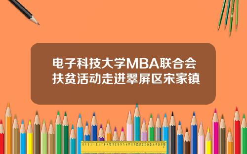 电子科技大学MBA联合会扶贫活动走进翠屏区宋家镇