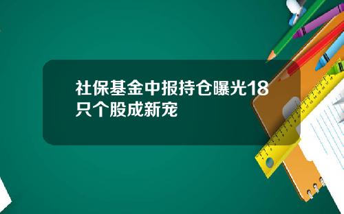 社保基金中报持仓曝光18只个股成新宠