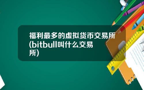 福利最多的虚拟货币交易所(bitbull叫什么交易所)