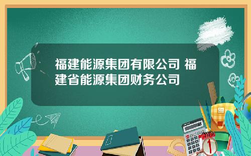 福建能源集团有限公司 福建省能源集团财务公司