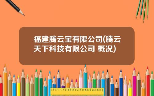 福建腾云宝有限公司(腾云天下科技有限公司 概况)