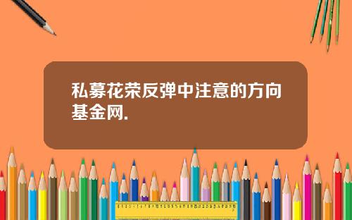 私募花荣反弹中注意的方向基金网.