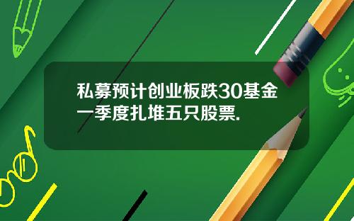 私募预计创业板跌30基金一季度扎堆五只股票.
