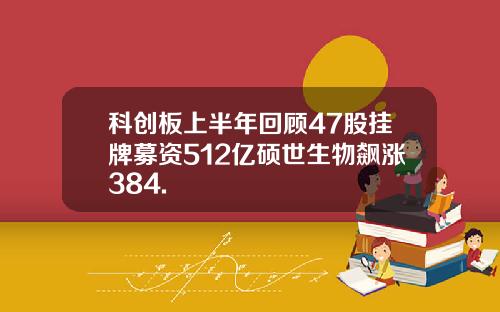 科创板上半年回顾47股挂牌募资512亿硕世生物飙涨384.