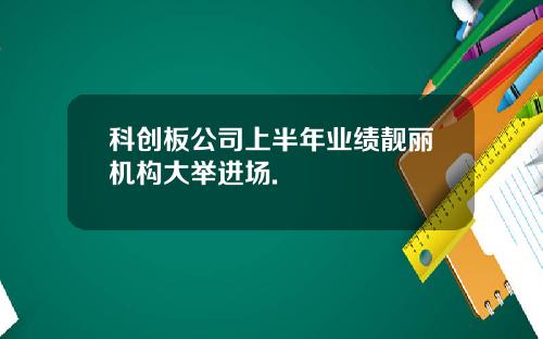 科创板公司上半年业绩靓丽机构大举进场.