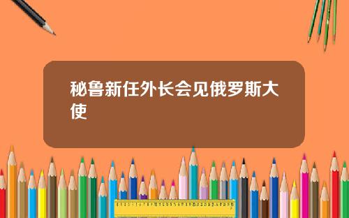 秘鲁新任外长会见俄罗斯大使