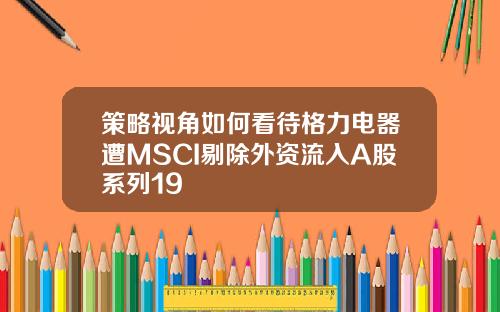 策略视角如何看待格力电器遭MSCI剔除外资流入A股系列19