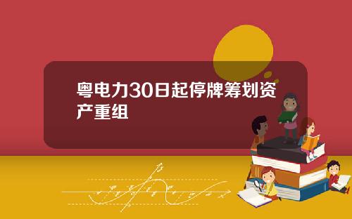 粤电力30日起停牌筹划资产重组