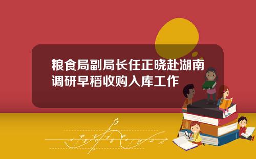 粮食局副局长任正晓赴湖南调研早稻收购入库工作