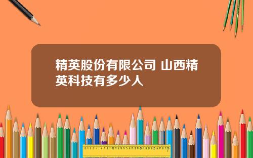 精英股份有限公司 山西精英科技有多少人
