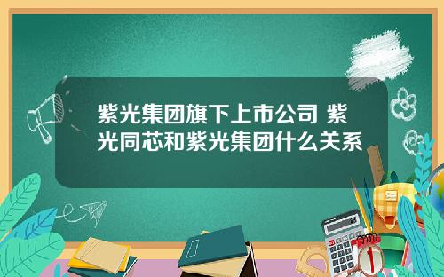 紫光集团旗下上市公司 紫光同芯和紫光集团什么关系