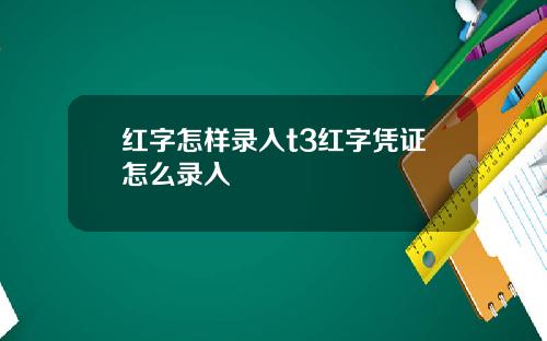 红字怎样录入t3红字凭证怎么录入