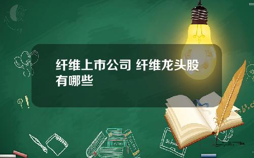 纤维上市公司 纤维龙头股有哪些