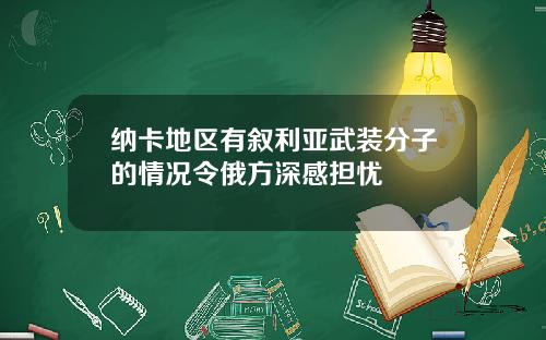 纳卡地区有叙利亚武装分子的情况令俄方深感担忧