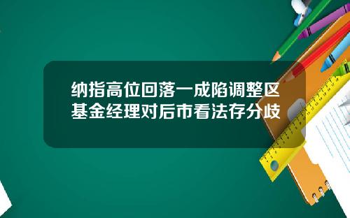 纳指高位回落一成陷调整区基金经理对后市看法存分歧