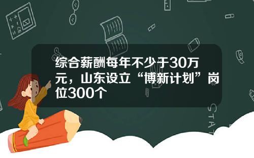 综合薪酬每年不少于30万元，山东设立“博新计划”岗位300个