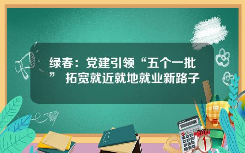 绿春：党建引领“五个一批” 拓宽就近就地就业新路子
