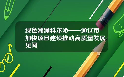 绿色潮涌科尔沁——通辽市加快项目建设推动高质量发展见闻