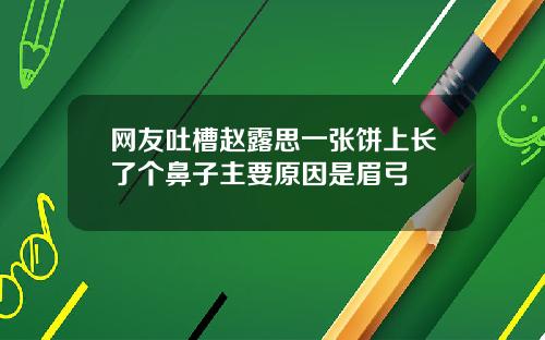 网友吐槽赵露思一张饼上长了个鼻子主要原因是眉弓