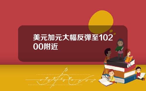 美元加元大幅反弹至10200附近
