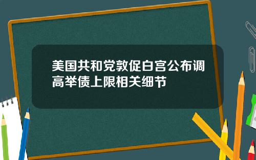 美国共和党敦促白宫公布调高举债上限相关细节