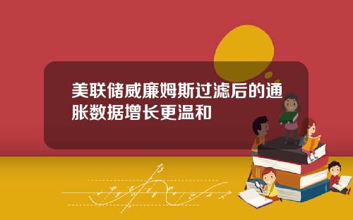 美联储威廉姆斯过滤后的通胀数据增长更温和