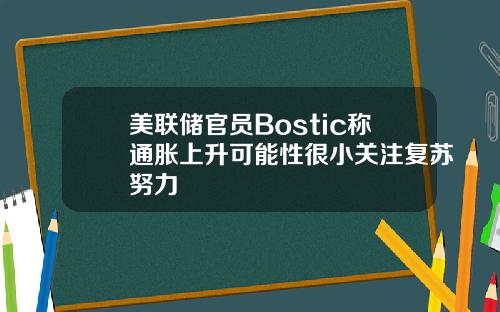美联储官员Bostic称通胀上升可能性很小关注复苏努力