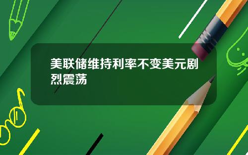 美联储维持利率不变美元剧烈震荡