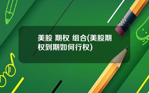美股 期权 组合(美股期权到期如何行权)