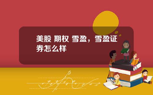 美股 期权 雪盈，雪盈证券怎么样