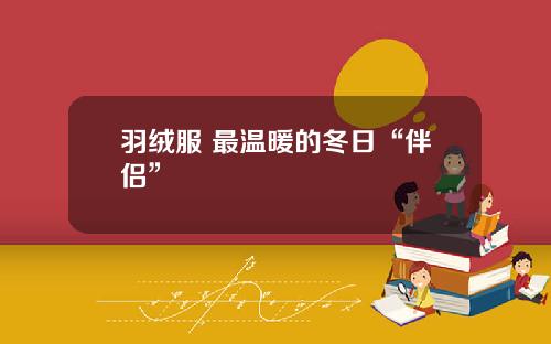 羽绒服 最温暖的冬日“伴侣”
