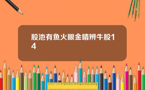 股池有鱼火眼金睛辨牛股14