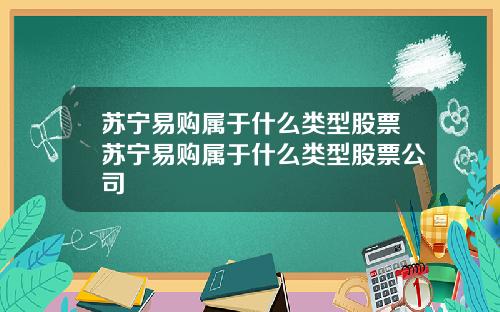 苏宁易购属于什么类型股票苏宁易购属于什么类型股票公司
