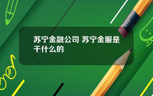 苏宁金融公司 苏宁金服是干什么的