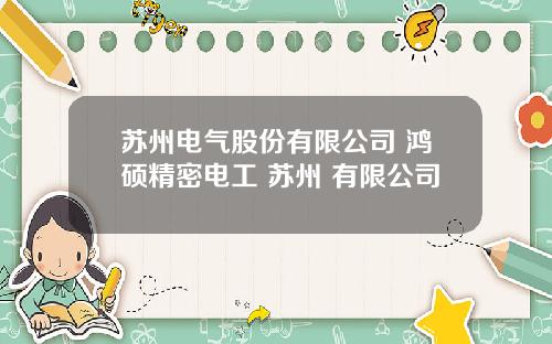 苏州电气股份有限公司 鸿硕精密电工 苏州 有限公司