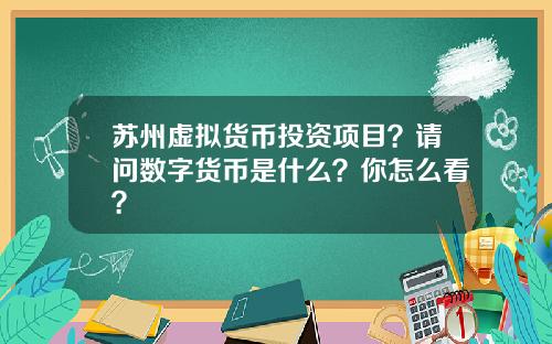 苏州虚拟货币投资项目？请问数字货币是什么？你怎么看？