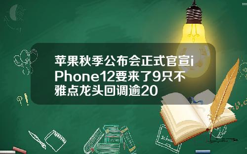 苹果秋季公布会正式官宣iPhone12要来了9只不雅点龙头回调逾20