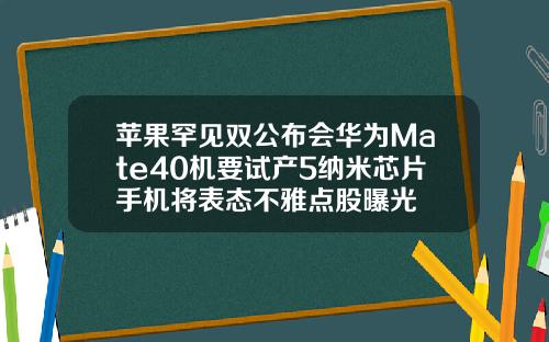 苹果罕见双公布会华为Mate40机要试产5纳米芯片手机将表态不雅点股曝光