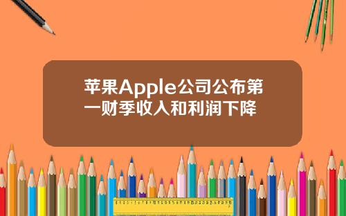 苹果Apple公司公布第一财季收入和利润下降