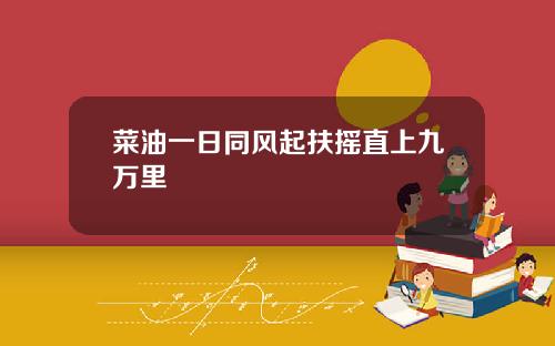 菜油一日同风起扶摇直上九万里