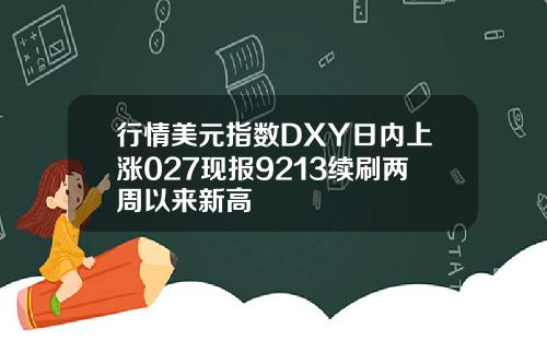 行情美元指数DXY日内上涨027现报9213续刷两周以来新高