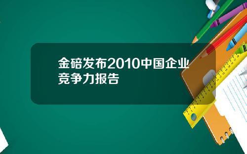 金碚发布2010中国企业竞争力报告