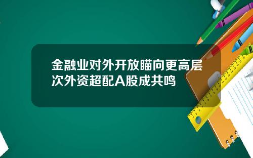 金融业对外开放瞄向更高层次外资超配A股成共鸣