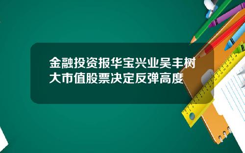 金融投资报华宝兴业吴丰树大市值股票决定反弹高度