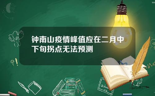 钟南山疫情峰值应在二月中下旬拐点无法预测