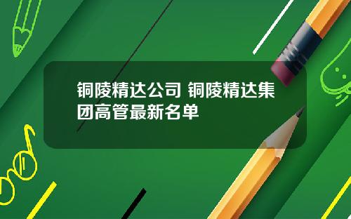 铜陵精达公司 铜陵精达集团高管最新名单