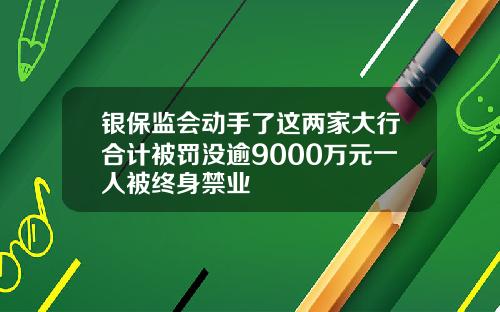 银保监会动手了这两家大行合计被罚没逾9000万元一人被终身禁业