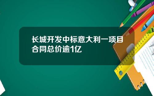 长城开发中标意大利一项目合同总价逾1亿