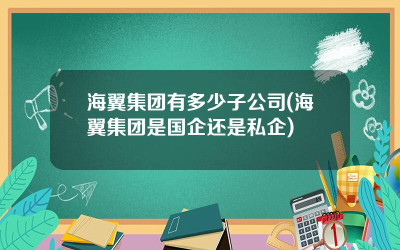 海翼集团有多少子公司(海翼集团是国企还是私企)