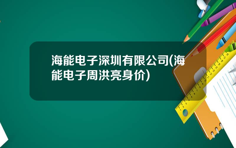 海能电子深圳有限公司(海能电子周洪亮身价)